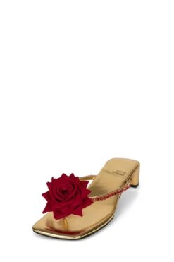 Strategy PRIMROSE -Outlet Elevated Steps Store primrose jeffrey campbell 960084
