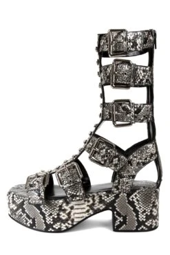 RAMONES -Outlet Elevated Steps Store ramones jeffrey campbell black white snake silver 6 741508